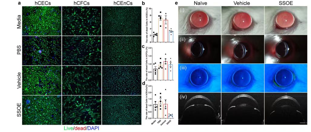 Perfluorodecalin-based oxygenated emulsion as a topical treatment for chemical burn to the eye