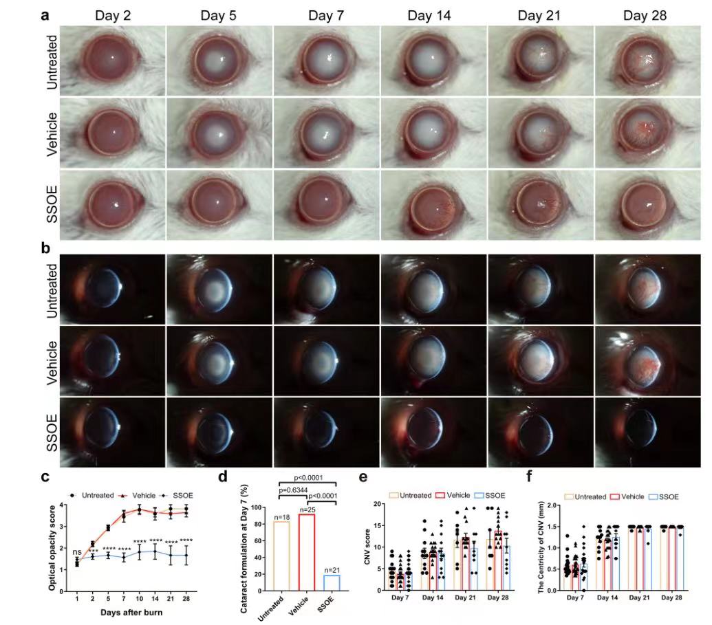 Perfluorodecalin-based oxygenated emulsion as a topical treatment for chemical burn to the eye