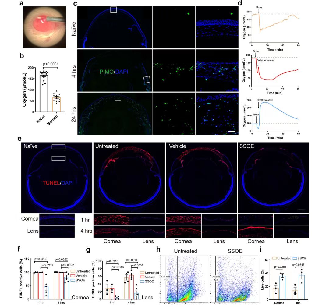 Perfluorodecalin-based oxygenated emulsion as a topical treatment for chemical burn to the eye