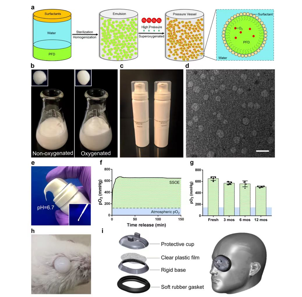 Perfluorodecalin-based oxygenated emulsion as a topical treatment for chemical burn to the eye