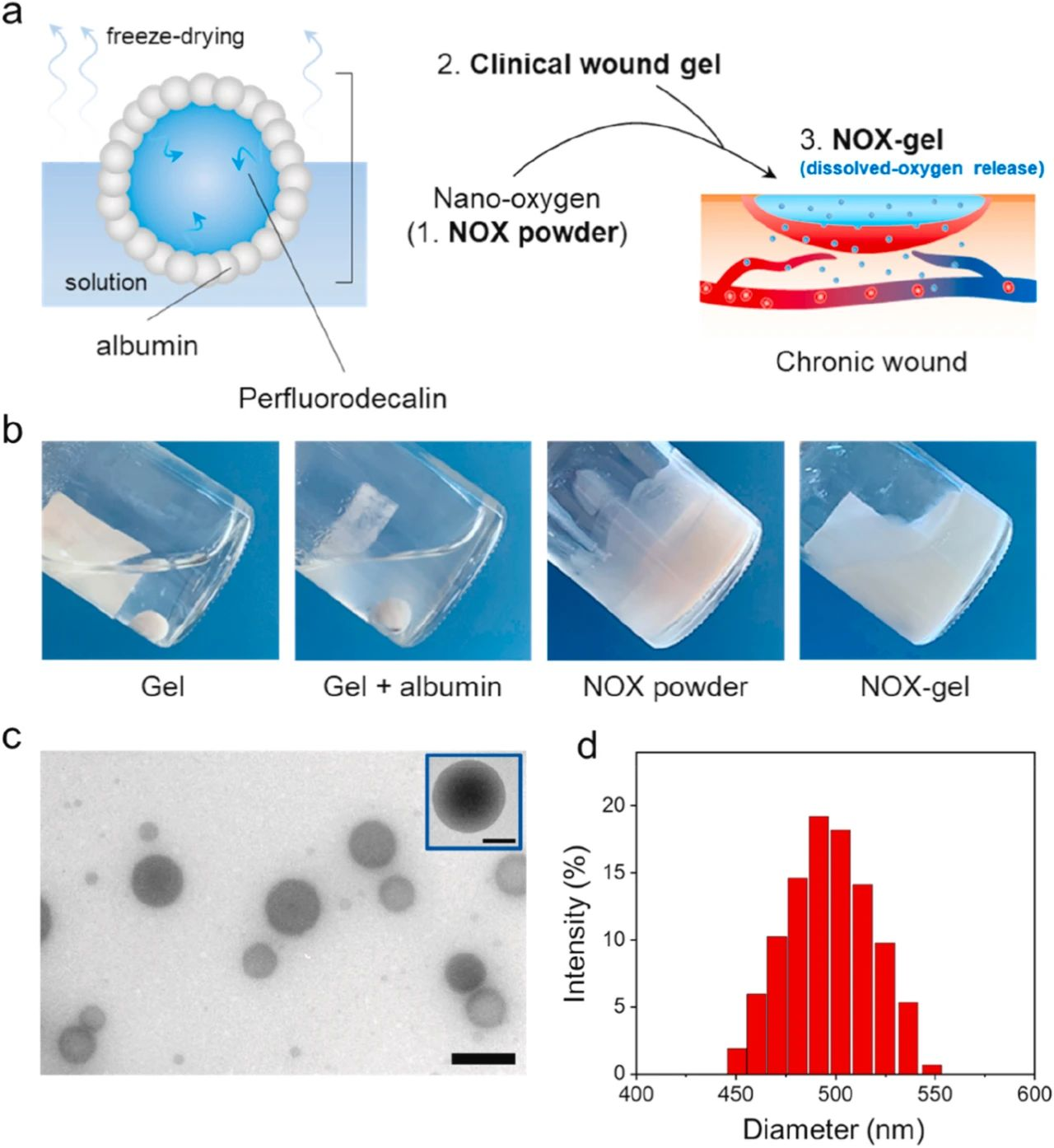 Biomaterials：Nano oxygenated hydrogels promote chronic wound healing